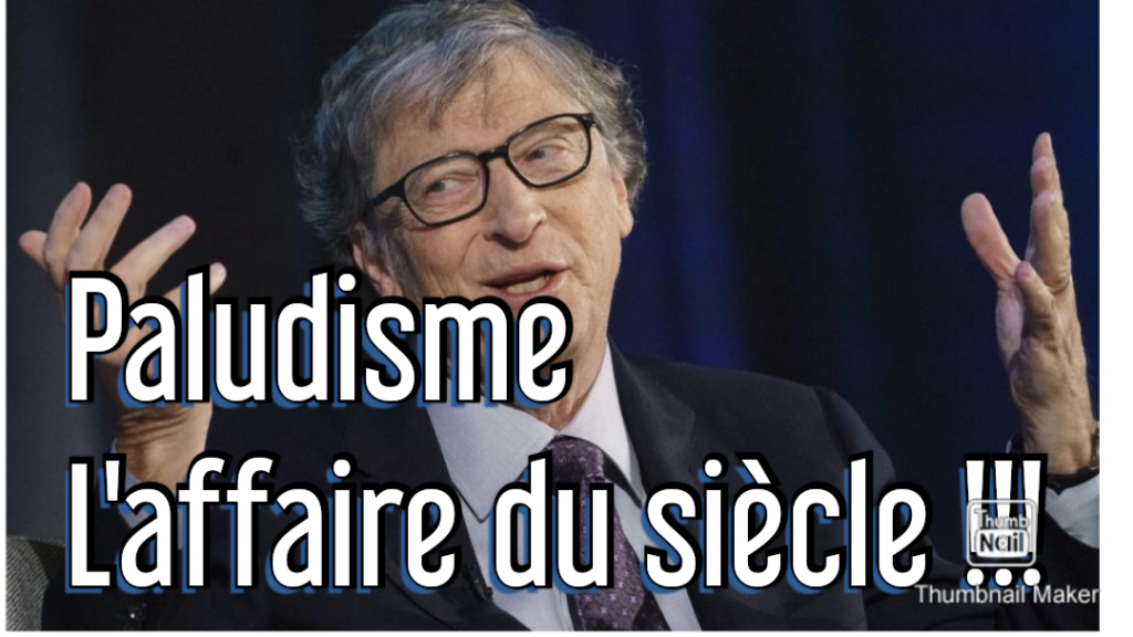 Article : 1647 Tuhma vai makea Rebellion casino bonuskoodit kuninkaallinen bingo