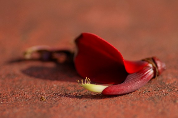 Article : L&rsquo;&acirc;ge d&rsquo;aimer est pass&eacute;