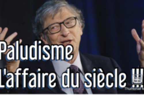 Article : Paludisme : l’affaire du siècle pour Bill Gates